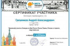 125185_sveshnikov-andrey-aleksandrovich